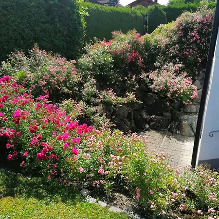 Ferienwohnung Rosengarten *